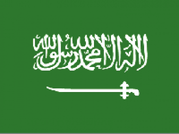 沙特阿拉伯外观专利7699元