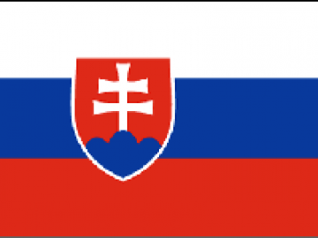 斯洛伐克外观专利5999元